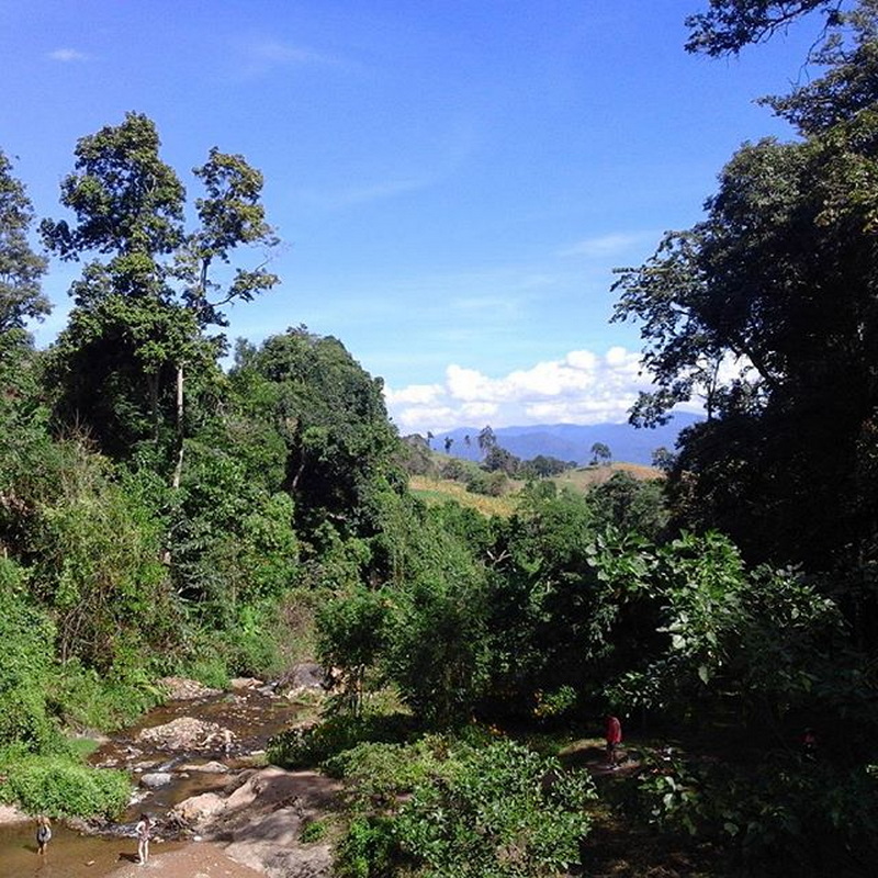 mor paeng waterfall, mor pang waterfall, morpaeng waterfall, morpang waterfall mor paeng waterfall, mor pang waterfall, morpaeng waterfall, morpang waterfall