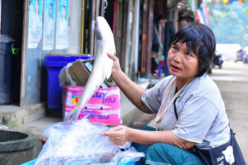 ban mae sam leap, ban mae sam leap village, mae sam leap village, ban mae sam leab, ban mae sam leab village, mae sam leab village ban mae sam leap, ban mae sam leap village, mae sam leap village, ban mae sam leab, ban mae sam leab village, mae sam leab village