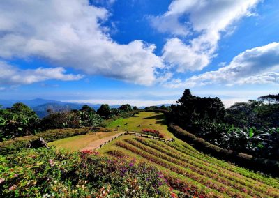 huai nam dang national park, huay nam dang national park, huai nam dang, huay nam dang, huai nam dung, huay nam dung
