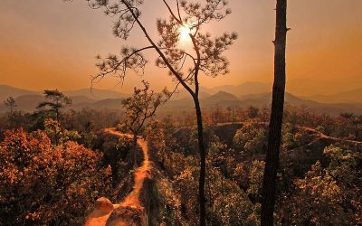 Pai Canyon