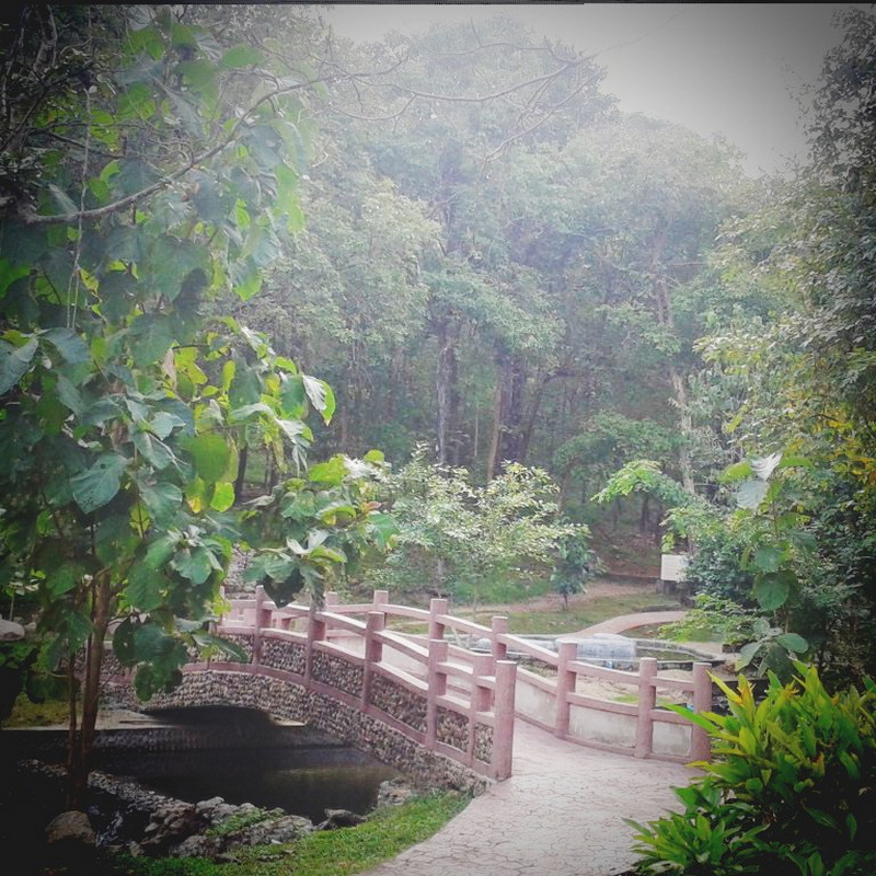 tha pai hot spring, pong nam ron tha pai, ta pai hot spring, tha pai hot springs tha pai hot spring, pong nam ron tha pai, ta pai hot spring, tha pai hot springs