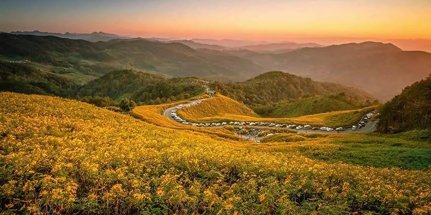 thung bua tong fields at doi mae u kho, bua tong fields doi mae u kho, bua tong fields at doi mae u kho, mexican sunflowers at doi mae u kho, doi mae u kho mexican sunflowers, doi mae u kho, doi mae u kho, thung dok bua tong at doi mae u-kho