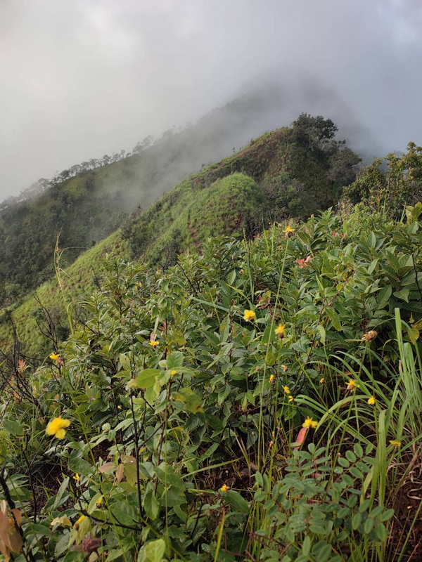 doi pui luamg, namtok mae surin national park, mae surin national park, namtok mae surin, namtok mae surin forest park