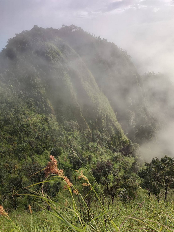 doi pui luamg, namtok mae surin national park, mae surin national park, namtok mae surin, namtok mae surin forest park