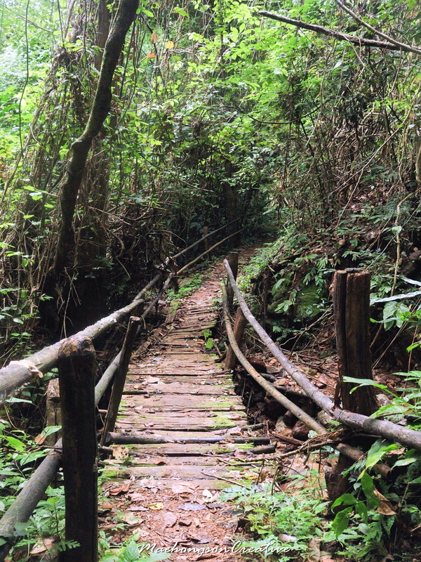 mae sakut nature trail, namtok mae surin national park, mae surin national park, namtok mae surin, namtok mae surin forest park