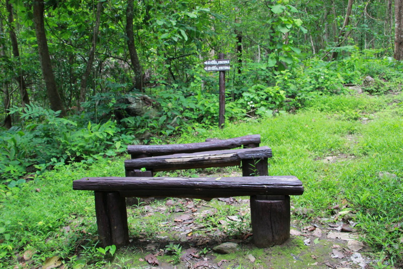 mae sakut nature trail, namtok mae surin national park, mae surin national park, namtok mae surin, namtok mae surin forest park