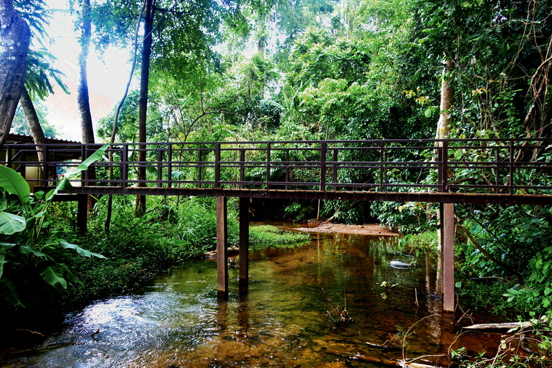 sai ngam hot spring, sai ngam natural hot spring, sai ngam natural mineral hot spring, sai ngam mineral hot spring sai ngam hot spring, sai ngam natural hot spring, sai ngam natural mineral hot spring, sai ngam mineral hot spring