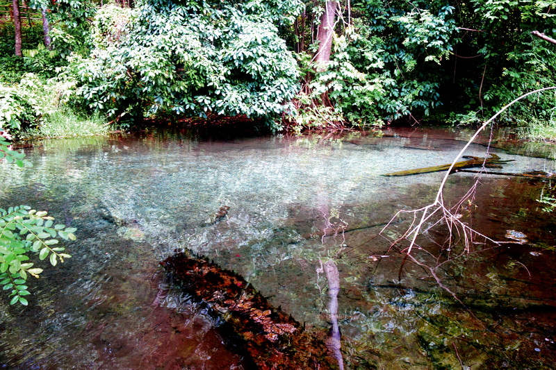 sai ngam hot spring, sai ngam natural hot spring, sai ngam natural mineral hot spring, sai ngam mineral hot spring sai ngam hot spring, sai ngam natural hot spring, sai ngam natural mineral hot spring, sai ngam mineral hot spring