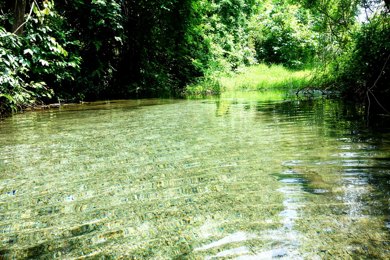 sai ngam hot spring, sai ngam natural hot spring, sai ngam natural mineral hot spring, sai ngam mineral hot spring sai ngam hot spring, sai ngam natural hot spring, sai ngam natural mineral hot spring, sai ngam mineral hot spring