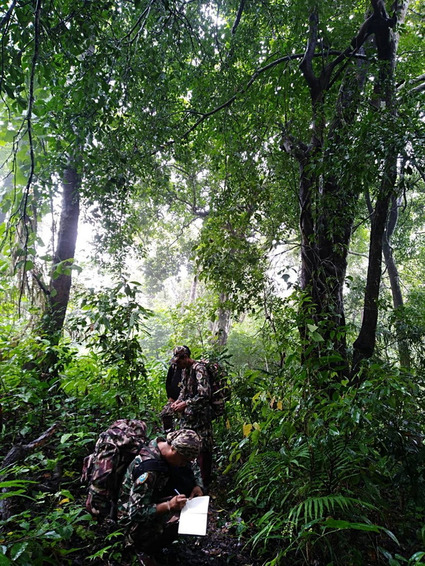 salawin national park, salawin, salawin forest park salawin national park, salawin, salawin forest park