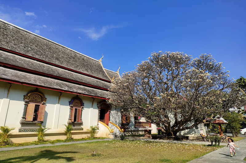 wat chiang man, chiang man temple, wat chiang mun, chiang mun temple, important temples in chiang mai, chiang mai tourist attractions