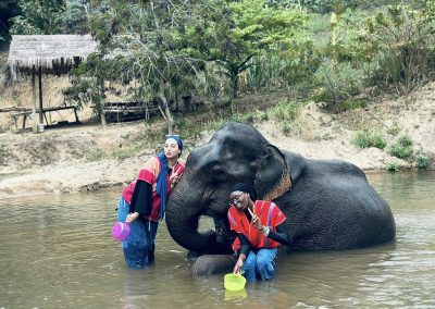 Elephant Family Chiang Rai, half day elephant chiang rai, elephant sanctuary chiang rai, karen ruammit elephant camp, chiang rai elephant bathing tour, elephant experience chiang rai, ethical elephant tour chiang rai, elephant feeding chiang rai, chiang rai elephant half day tour