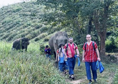 Elephant Family Chiang Rai, half day elephant chiang rai, elephant sanctuary chiang rai, karen ruammit elephant camp, chiang rai elephant bathing tour, elephant experience chiang rai, ethical elephant tour chiang rai, elephant feeding chiang rai, chiang rai elephant half day tour