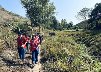 Elephant Family Chiang Rai, half day elephant chiang rai, elephant sanctuary chiang rai, karen ruammit elephant camp, chiang rai elephant bathing tour, elephant experience chiang rai, ethical elephant tour chiang rai, elephant feeding chiang rai, chiang rai elephant half day tour