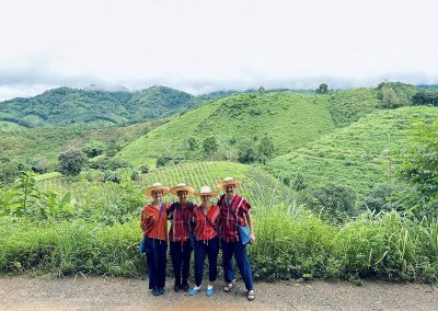 Elephant Family Chiang Rai, half day elephant chiang rai, elephant sanctuary chiang rai, karen ruammit elephant camp, chiang rai elephant bathing tour, elephant experience chiang rai, ethical elephant tour chiang rai, elephant feeding chiang rai, chiang rai elephant half day tour