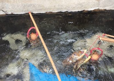 Phasoet Hot Spring, chiang rai day trek, trekking in chiang rai, one day trek chiang rai, chiang rai hiking, hiking in chiang rai, chiang rai trek one day, 1 day trek chiang rai, 1 day trekking in chiang rai, trekking adventure in chiang rai