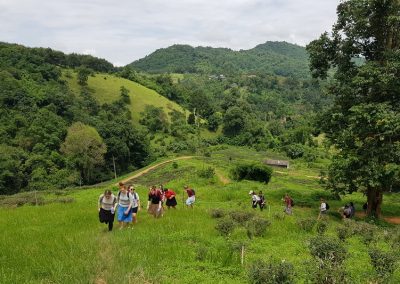 chiang rai day trek, trekking in chiang rai, one day trek chiang rai, chiang rai hiking, hiking in chiang rai, chiang rai trek one day, 1 day trek chiang rai, 1 day trekking in chiang rai, trekking adventure in chiang rai
