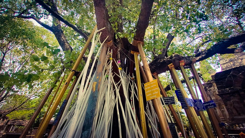 wat jed yod, jed yod temple, wat chet yod, chet yod, wat jedyod, jedyod temple, wat chetyod, chetyod, wat chet yod phra aram luang