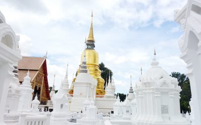 Suan Dok Temple