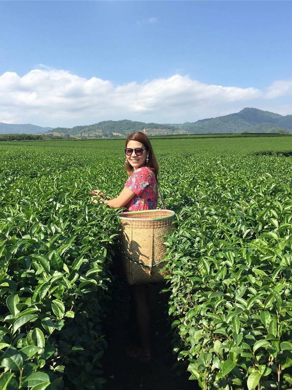 singha park, singha park chiang rai, singha park chiangrai