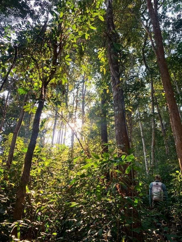 doi luang chiang dao, doi luang chiangdao, doi chiang dao, doi luang chiang dao forest park, doi chiang dao forest park, chiang dao wildlife sanctuary, doi luang chiang dao trek, doi luang chiangdao trek, doi chiang dao trek