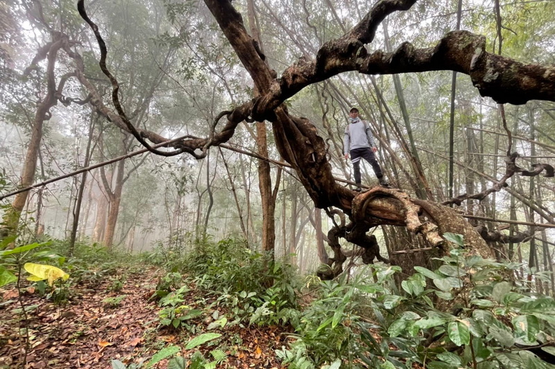 doi luang chiang dao, doi luang chiang dao trek, trekking doi luang chiang dao