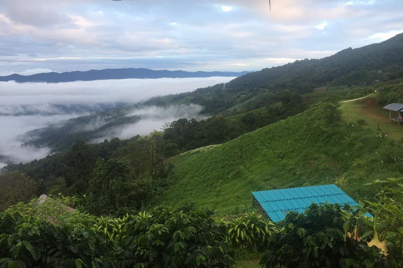 phu chi fa, phu chi fa forest park, phu chi fa national park, phu chi fah, phu chi fah forest park, phu chi fah national park phu chi fa, phu chi fa forest park, phu chi fa national park, phu chi fah, phu chi fah forest park, phu chi fah national park