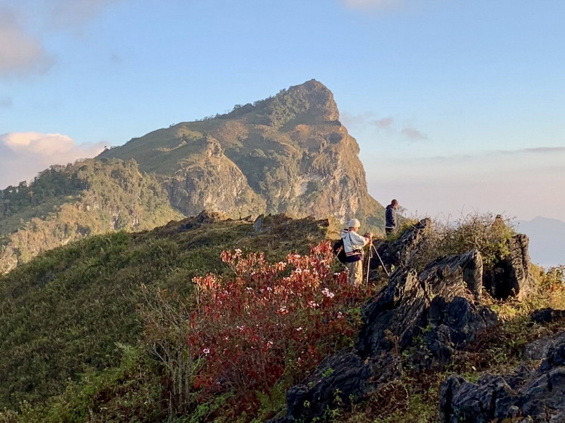 phu chi fa, phu chi fa forest park, phu chi fa national park, phu chi fah, phu chi fah forest park, phu chi fah national park phu chi fa, phu chi fa forest park, phu chi fa national park, phu chi fah, phu chi fah forest park, phu chi fah national park