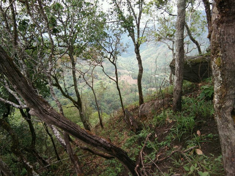 Hiking in Khun Chang Kian Village