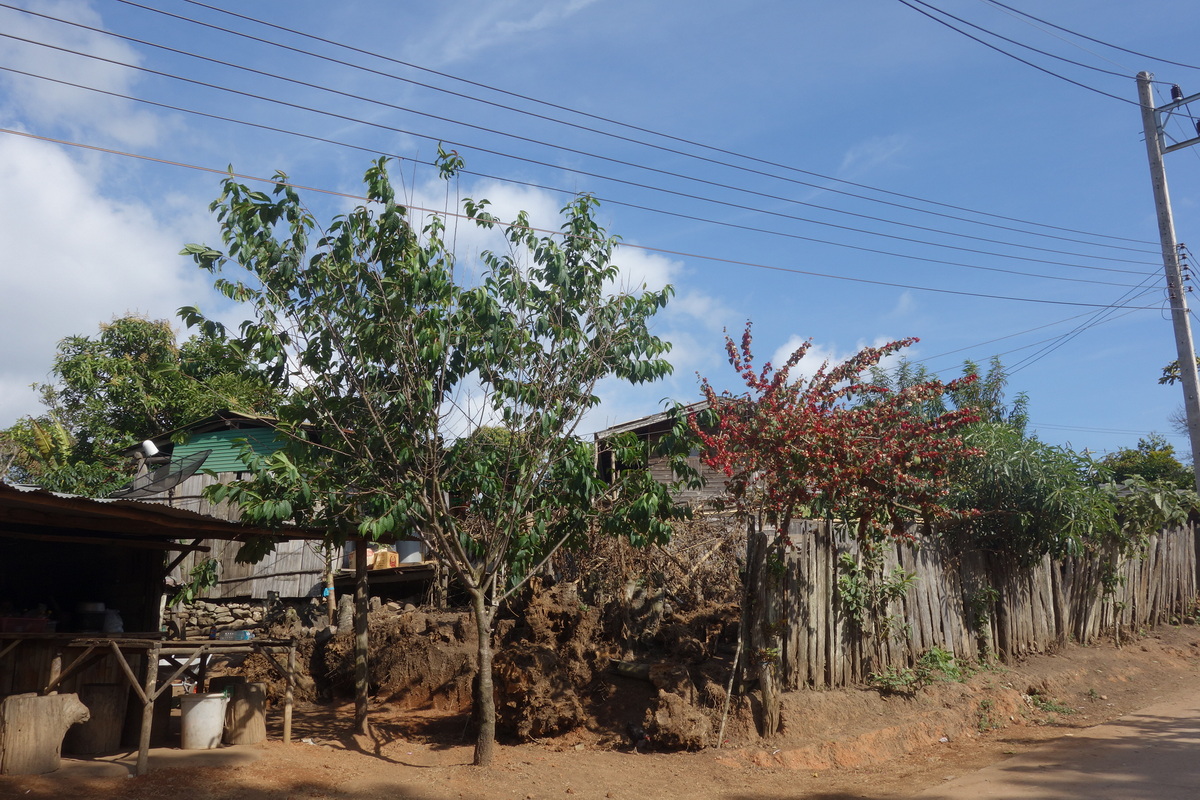 White Hmong Khun Chang Kian Village