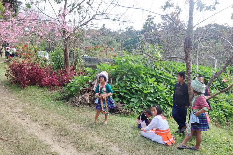 White Hmong Children in Khun Chang Kian
